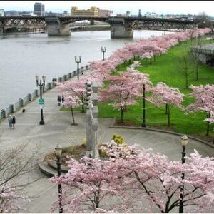 Meet your Posher, China